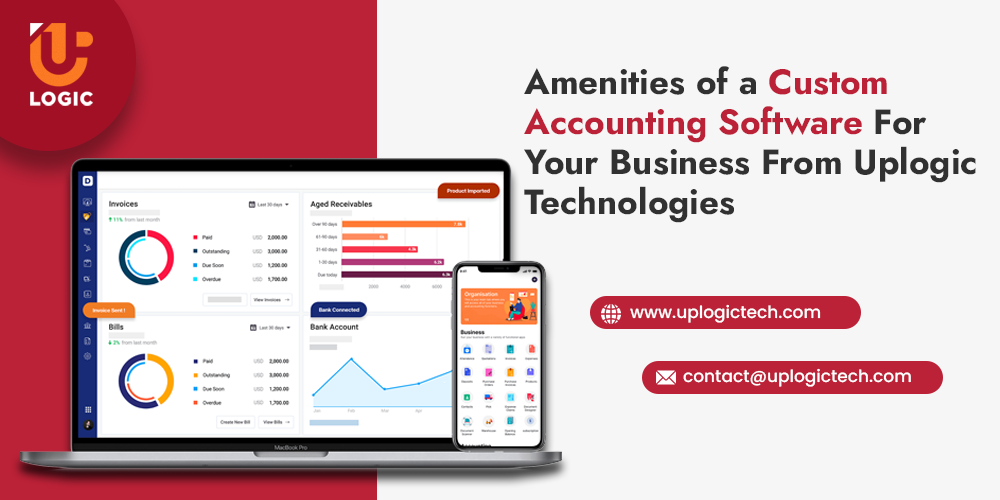 Amenities of a Custom Accounting Software For Your Business From Uplogic Technologies