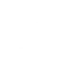 Delivery Option