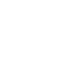 Multiple Language Support