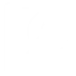 Update Delivery Status