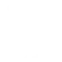 Custom Travel Management System Development