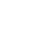 Web App Consulting