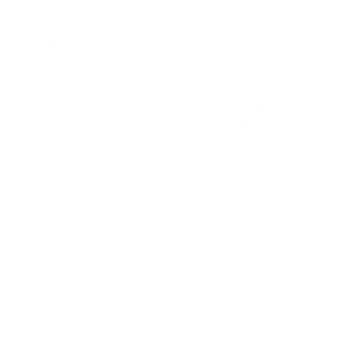 Earning Reports